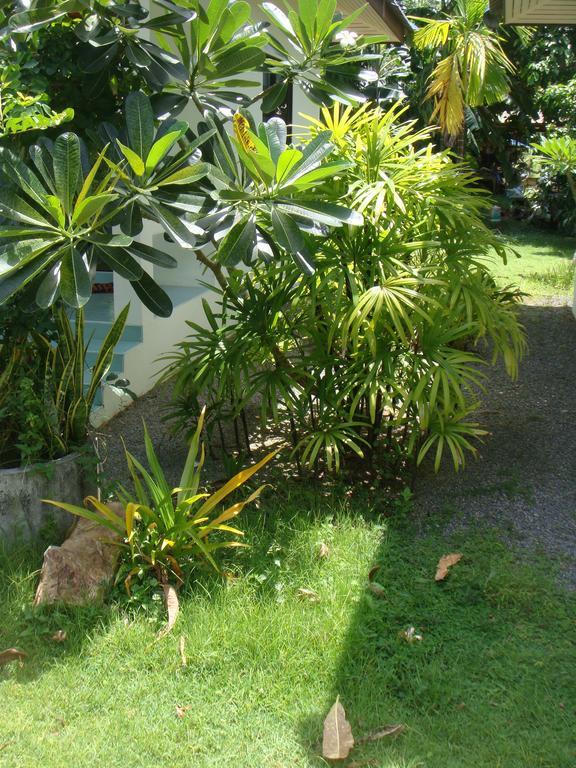 Baan Kuasakul Resort Маенам Экстерьер фото